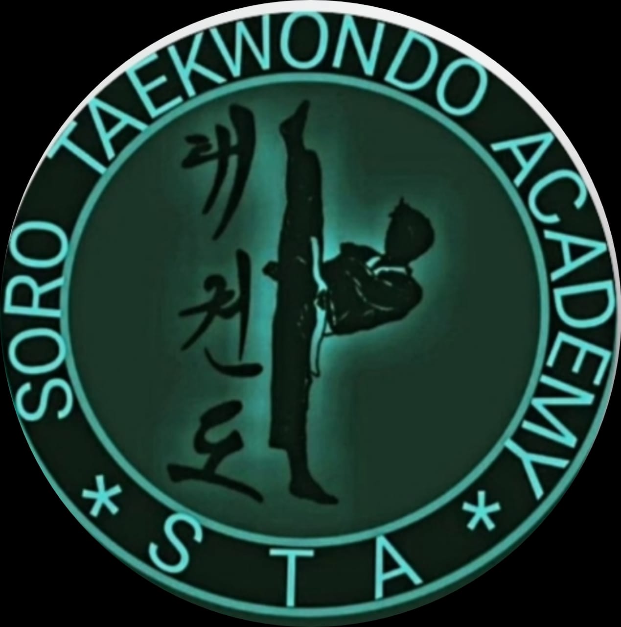 SORO TAEKWONDO ACADEMY Logo