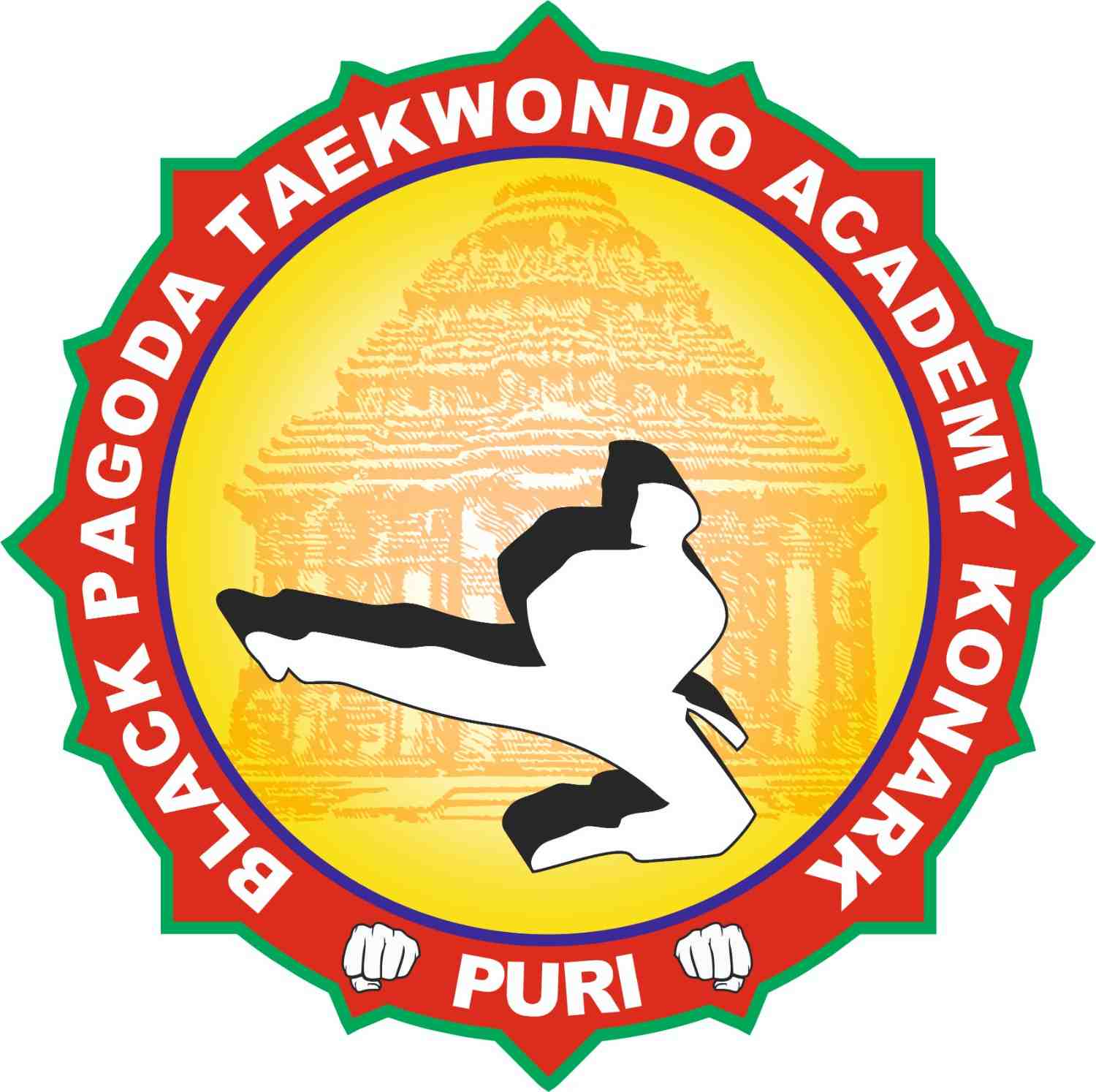 BLACK PAGODA TAEKWONDO ACADEMY Logo