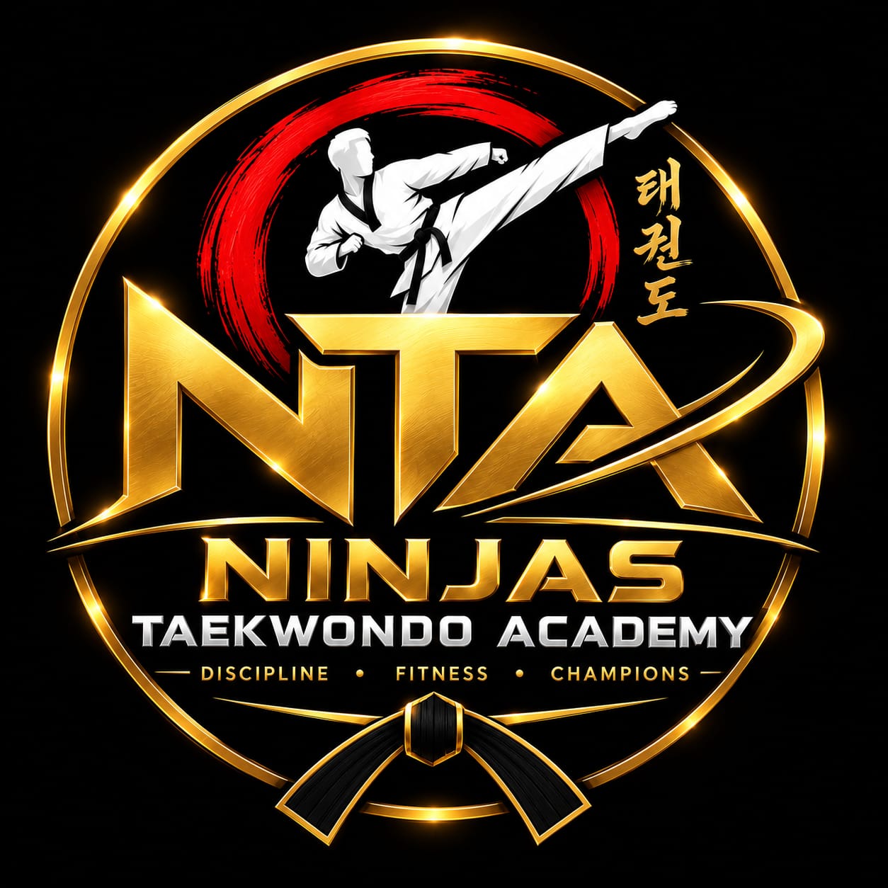 NTA TAEKWONDO ACADEMY Logo